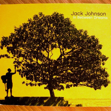 Jack Johnson—In Between Dreams