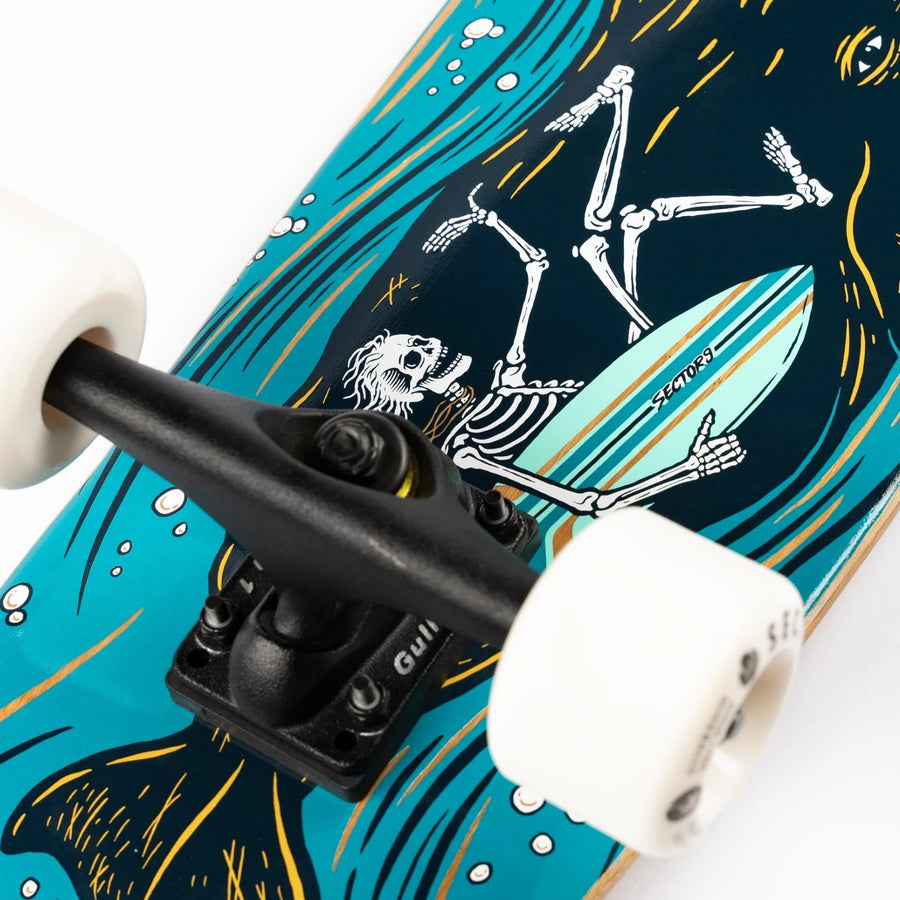 Sector 9 