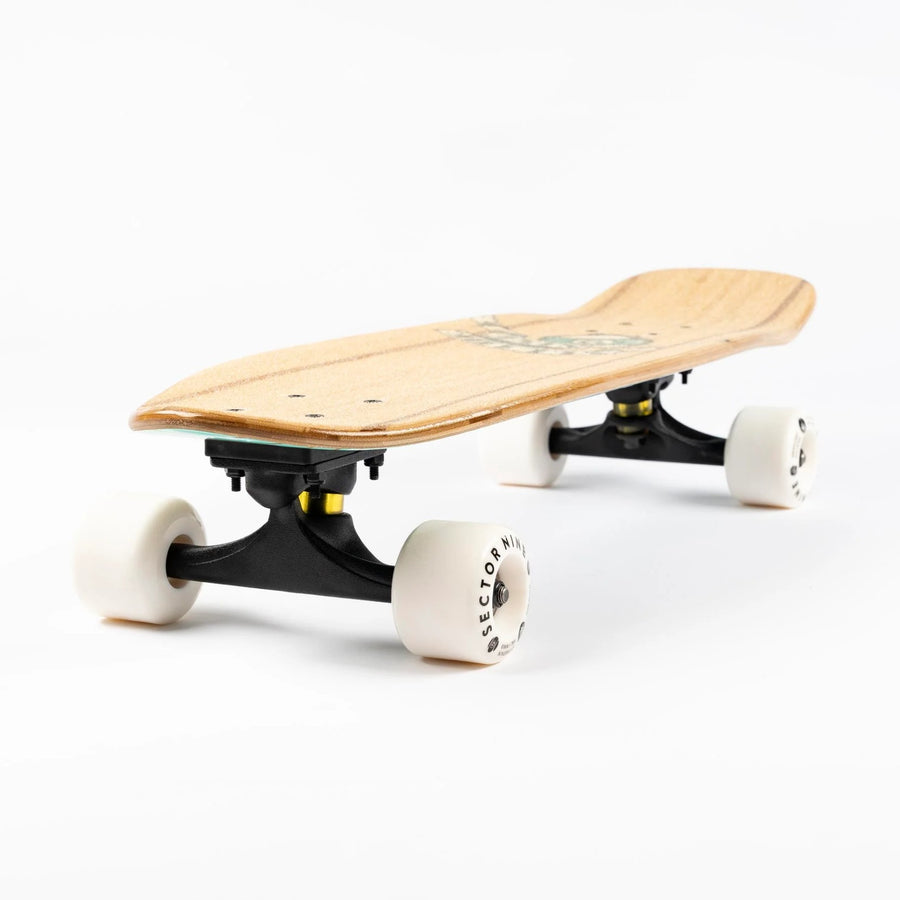 Sector 9 