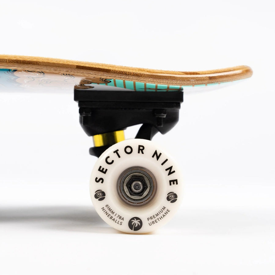 Sector 9 