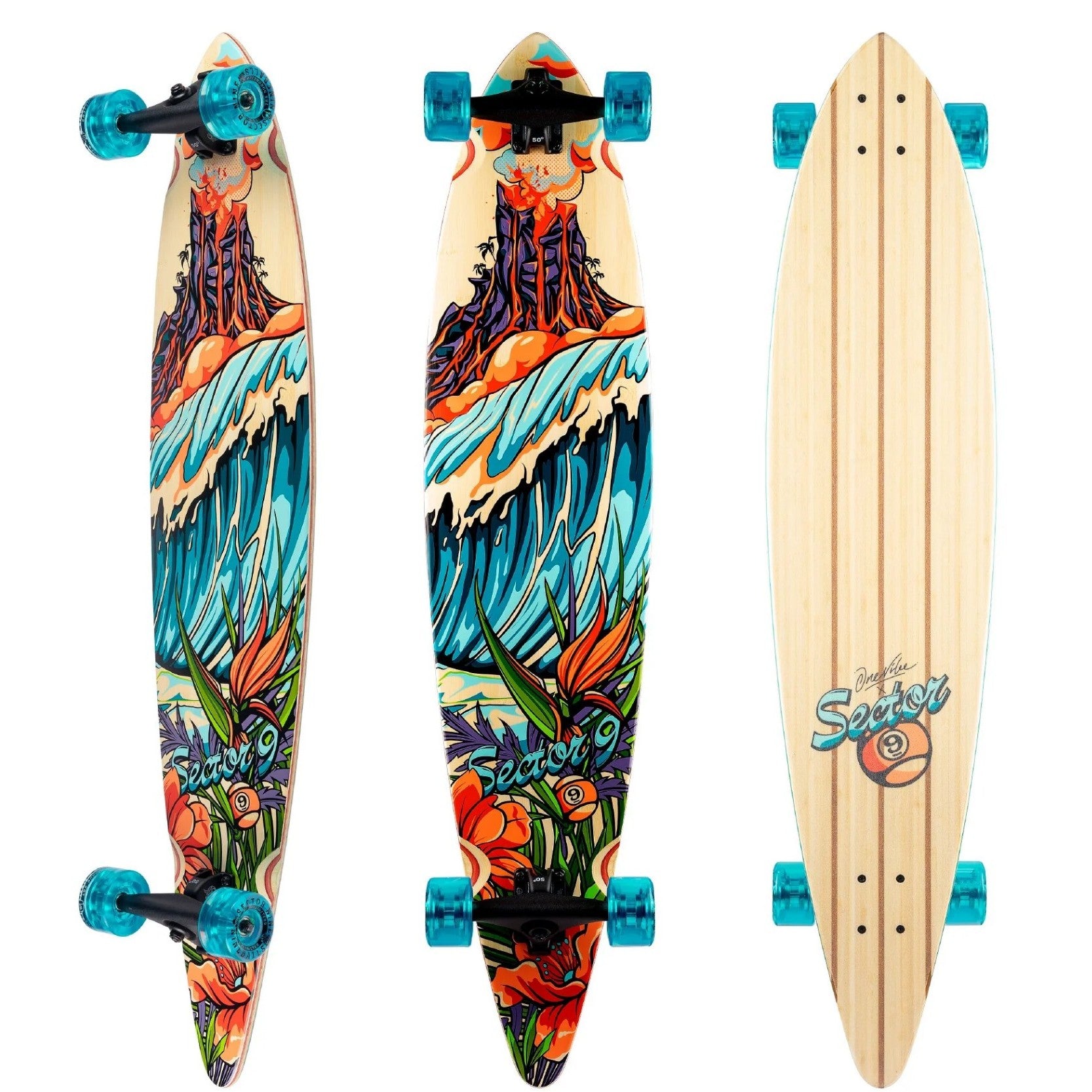 レア　SKATEBOARDING BEAR L DISTORTION apioedhxj__98267.1592334507.