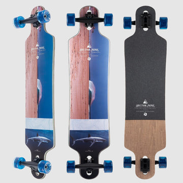 Sector 9 