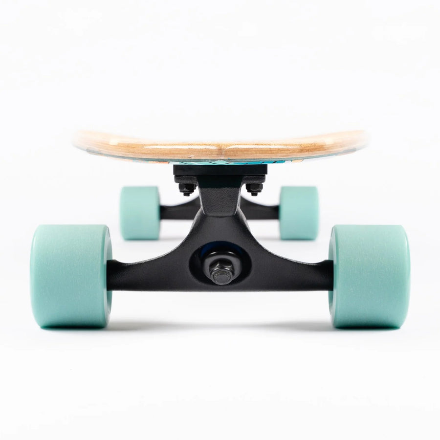 Sector 9 