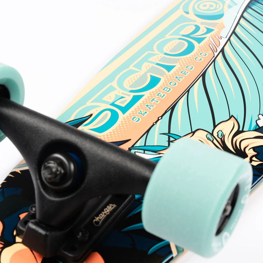 Sector 9 