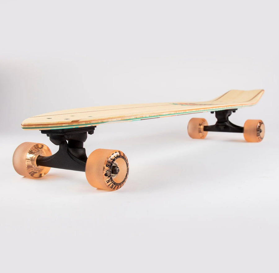 Sector 9 