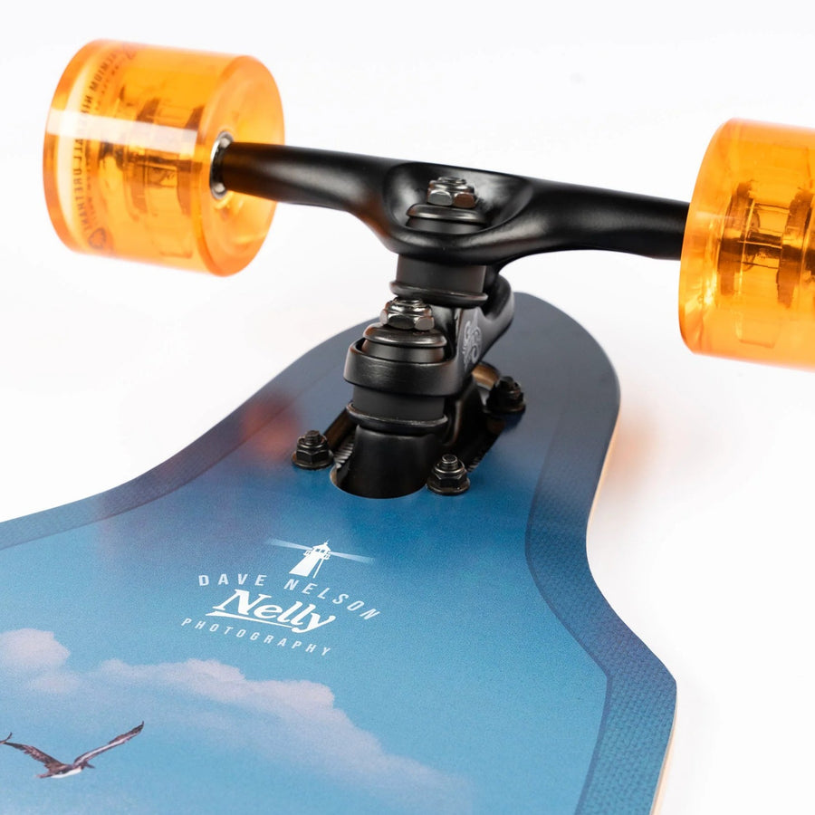 Sector 9 