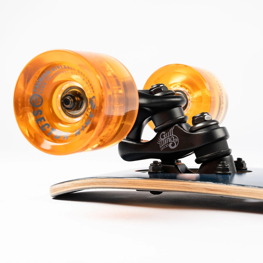 Sector 9 